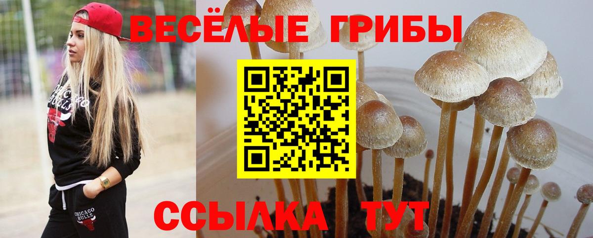 Псилоцибиновые грибы прущие грибы Качканар